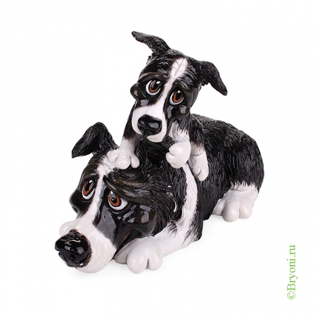 5503  -    Border Collie&Pup
